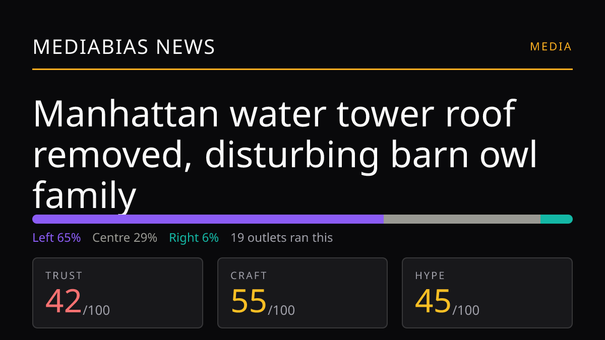 Manhattan water tower roof removed, disturbing barn owl family